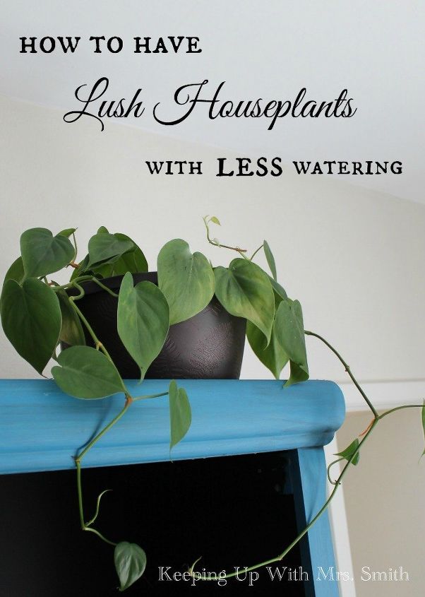 how to have lush healthy houseplants with less watering, gardening, home decor