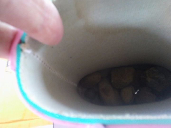 pretty cheap planters, container gardening, gardening, repurposing upcycling