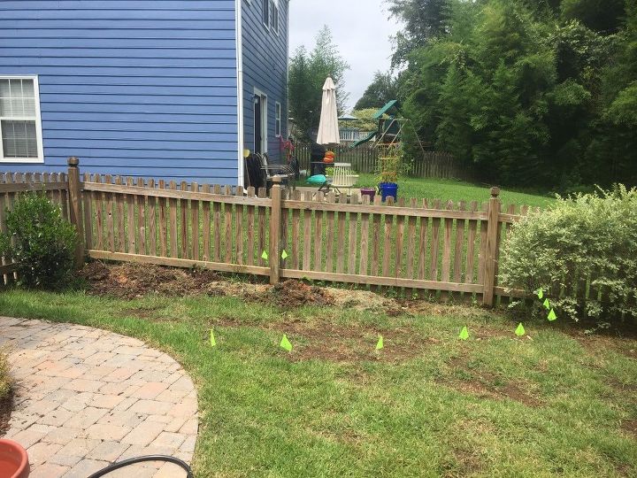 raised bed and trellis, gardening, raised garden beds